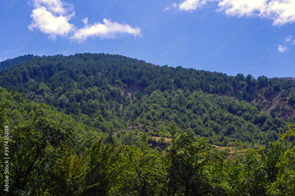 Forest covered mountains and blue sky.