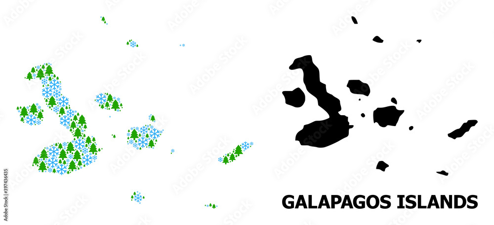 Vector collage map of Galapagos Islands combined for New Year, Christmas, and winter. Mosaic map of Galapagos Islands is shaped from snowflakes and fir forest. Vector collage map of Galapagos Islands combined for New Year, Christmas, and winter. Mosaic map of Galapagos Islands is shaped from snowflakes and fir forest.