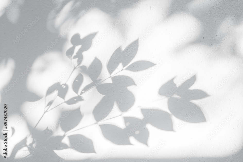 Abstract leaves shadow blurred background. Natural leaves tree branch shadows and sunlight on white wall texture for background wallpaper and any design Abstract leaves shadow blurred background. Natural leaves tree branch shadows and sunlight on white wall texture for background wallpaper and any design