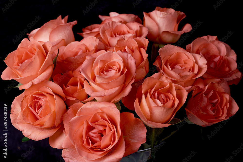 Bouquet of red small roses on a black background.