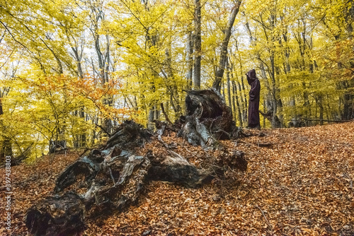 A man in a hoodie stands in a mystical forest. photo