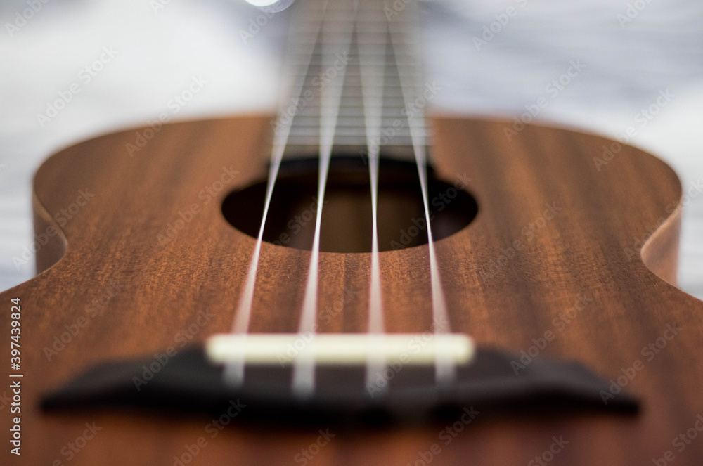 Fototapeta premium Ukulele