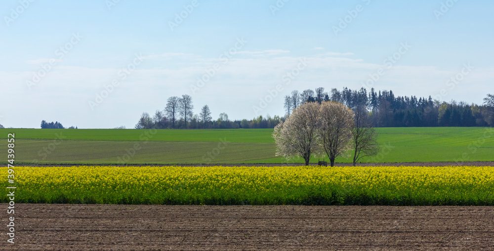 Frühlingslandschaft in Oberbayern