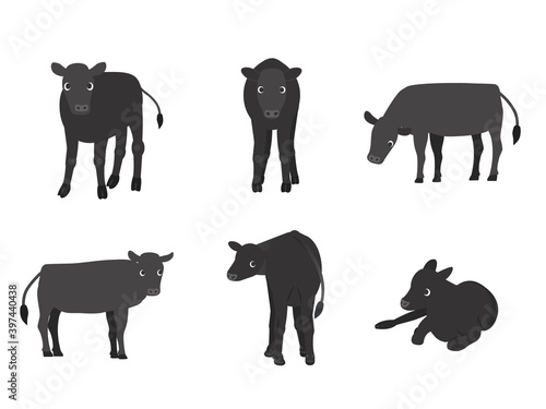 子牛 和牛 向きバリエーションセット