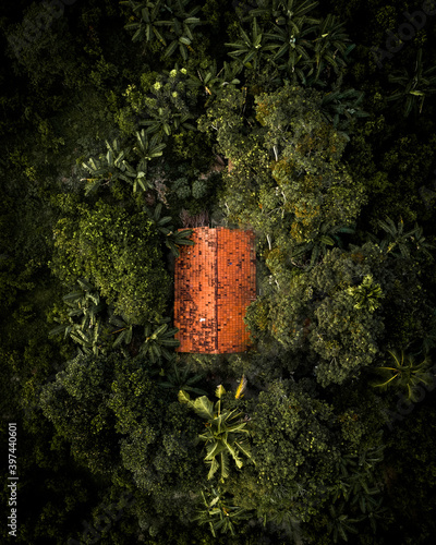 Sri Lanka Jungle Hut