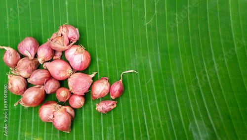 group of vibrant fleshy juicy mature red small onions Allium cepa Aggregatum placed on a green fresh banana leaf with copy space. photo