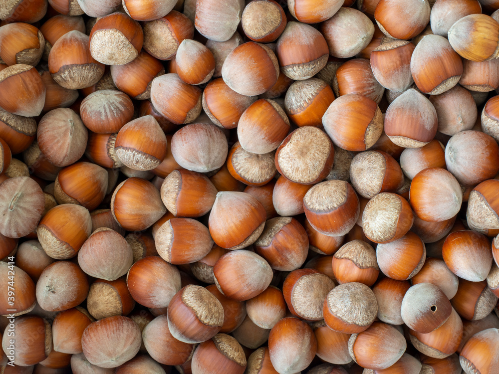 After harvesting many nuts from top view brown background After harvesting many nuts from top view brown background