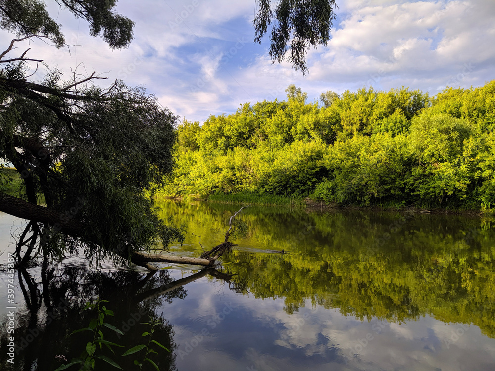 lake in the park