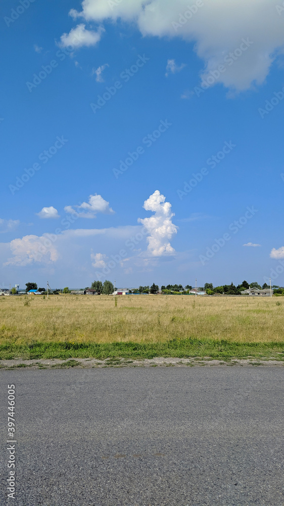 landscape with cows