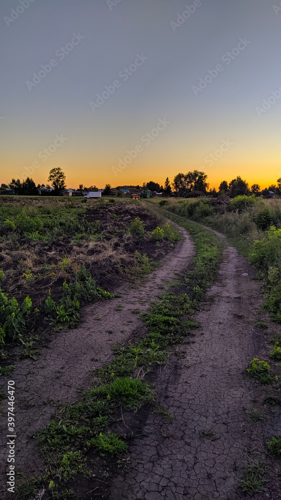 sunset over the field