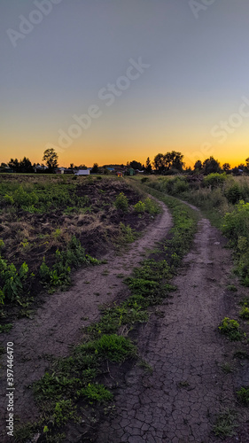 Obraz na płótnie sunset over the field w salonie