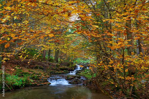 Colorful autumnal landscape of a river in the forest © Xalanx
