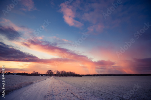 A beautiful winter morning landscape with a gravel road. Bright, extra colorful scenery of Northern Europe. Snow covered road in the rural scene. © dachux21