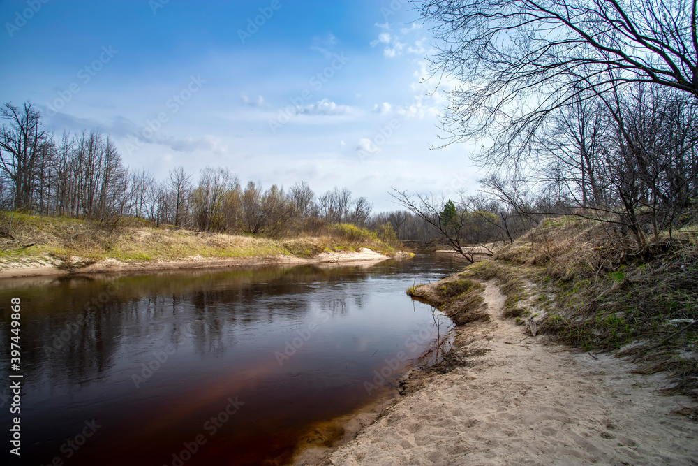 Nature awakening. Spring landscape with trees and grass on river. Nature awakening. Spring landscape with trees and grass on river.