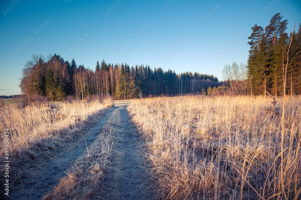 A beautiful winter morning landscape with a gravel road. Bright, extra colorful scenery of Northern Europe. Snow covered road in the rural scene.