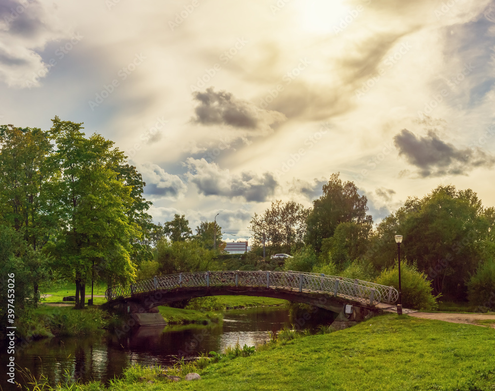 Fototapeta premium Footbridge over a river in a green city park in summer