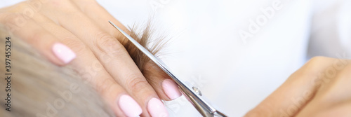 Strand of hair close up. Woman hold strand of hair with her hand and cut with scissors with other hand.