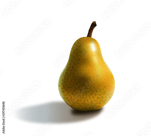 Pear, pera 
