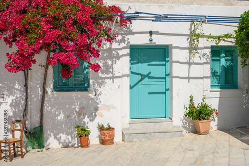 Blooming bougainvillea flowers on street in Lefkes village on the island of Paros. Cyclades, Greece