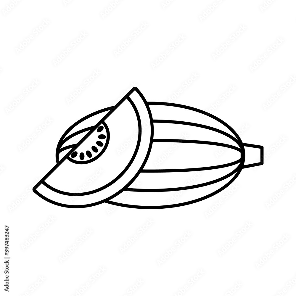 melon icon element of fruit icon for mobile concept and web apps. Thin line melon icon can be used for web and mobile. Premium icon on white background melon icon element of fruit icon for mobile concept and web apps. Thin line melon icon can be used for web and mobile. Premium icon on white background