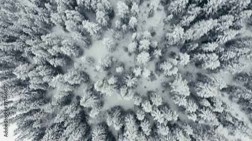 Flying over the green and white winter wonderland. Cold with a Christmas feeling. Shot in December.  shot with a drone