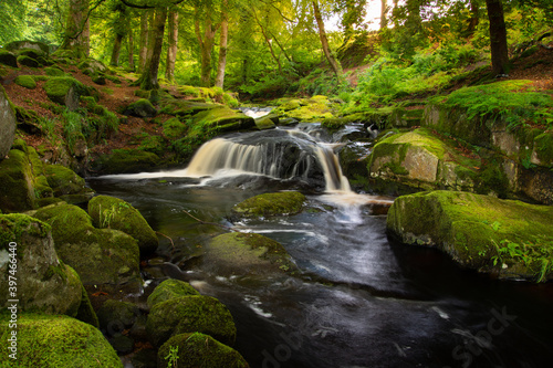 Waterfall in the forest, Wicklow, Ireland