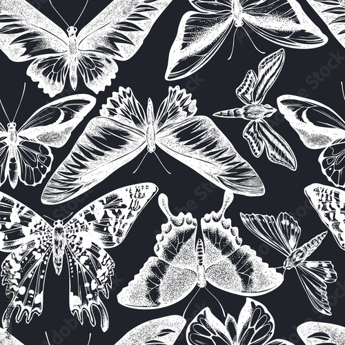 Seamless pattern with hand drawn chalk wallace s golden birdwing, ambulyx moth, white-banded hunter hawkmoth, madagascan sunset moth, emerald swallowtail, rajah brooke s birdwing, swallowtail