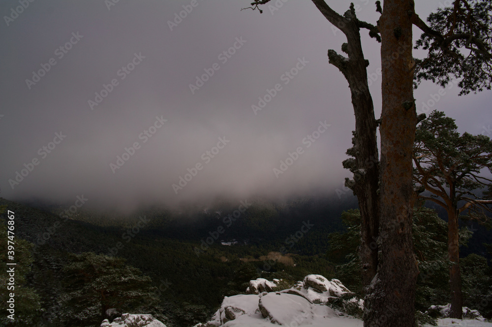 krajobraz góry drzewa natura śnieg las  - obrazy, fototapety, plakaty 