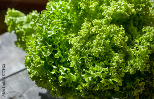 Lettuce fresh on the table vegetable closeup