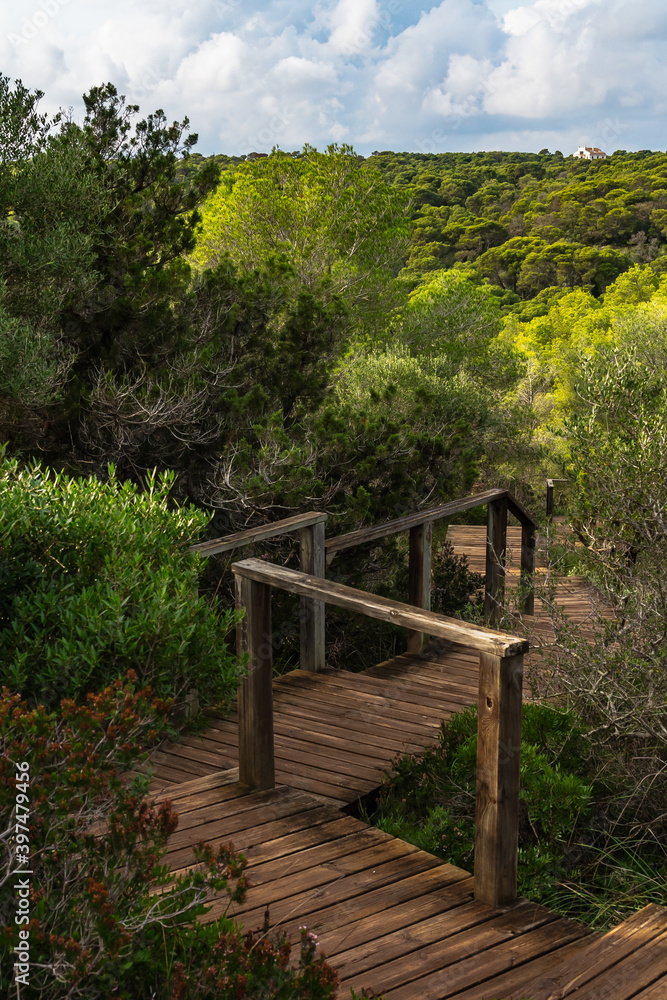 Wooden stairs path trail leading to Cala Macarella, in Camí de Cavalls, Minorca, surrounded by mediterranean forest, in Spain