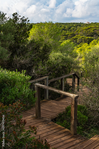 Wooden stairs path trail leading to Cala Macarella, in Camí de Cavalls, Minorca, surrounded by mediterranean forest, in Spain