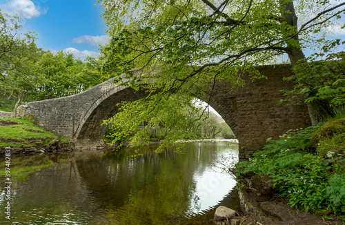 Ivelet Bridge spanning the River Swale in Springtime, with trees bursting into leaf and blue sky. Ivelet is a small hamlet in the Yorkshire Dales, England, UK. Horizontal, Space for copy.
