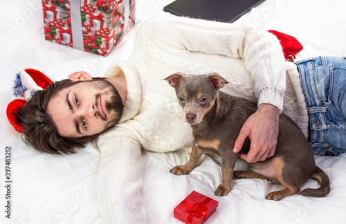 Merry Christmas and Happy New Year. The guy with the beard is handsome with a Chihuahua dog. Christmas presents around the guy. christmas decoration background. copyspace