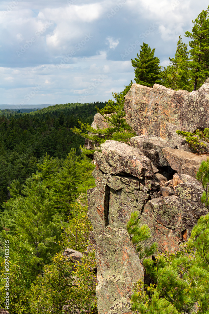 A rocky cliff in the forest