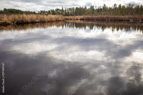 Clouds reflected in pond water of a bog