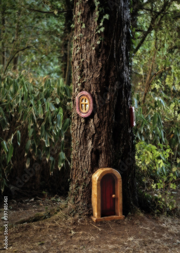 A fairy door on a tree in the forest in Ireland.
