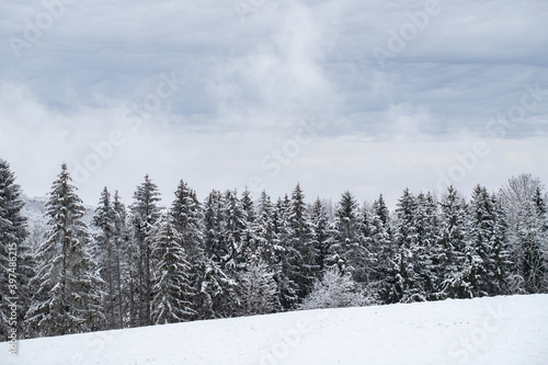 Winter auf der Albhochfläche