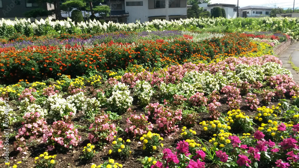 Fototapeta premium traveling around japan: Osaka, Tokyo, Fukuoka, Kyoto