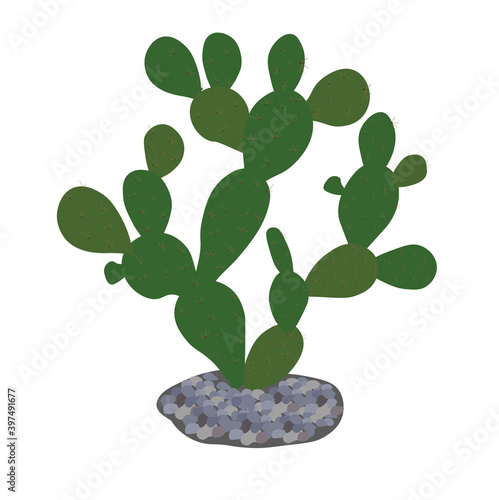 Prickly pear cactus vector stock illustration. Prickly leaves of desert succulents close-up. The Mexican national plant. Exotic dessert. Isolated on a white background.