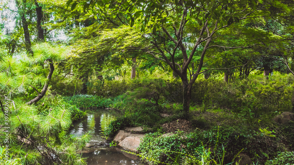 Creek in forest on Tiger Hill (Huqiu), Suzhou, Jiangsu, China Creek in forest on Tiger Hill (Huqiu), Suzhou, Jiangsu, China
