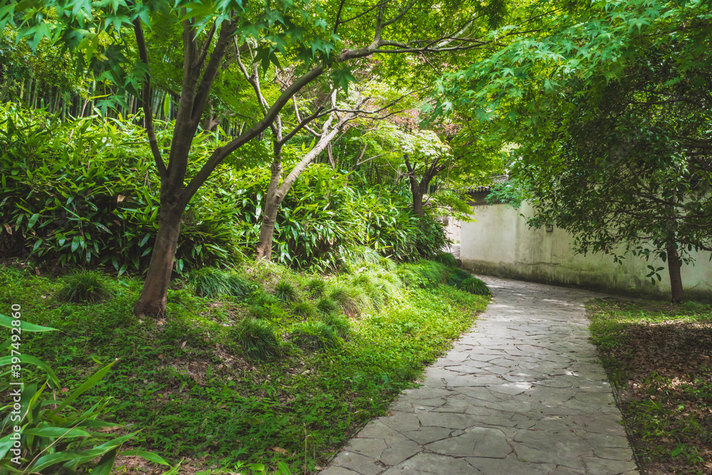 Path among trees on Tiger Hill (Huqiu), Suzhou, Jiangsu, China Path among trees on Tiger Hill (Huqiu), Suzhou, Jiangsu, China