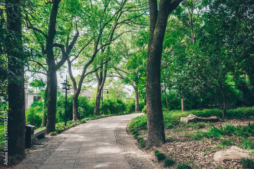 Fototapeta Naklejka Na Ścianę i Meble -  Path between trees on Tiger Hill (Huqiu), Suzhou, Jiangsu, China