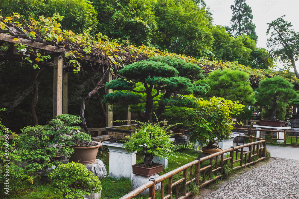 Fototapeta Path by plants at Lingering Garden Scenic Area, Suzhou, Jiangsu, China