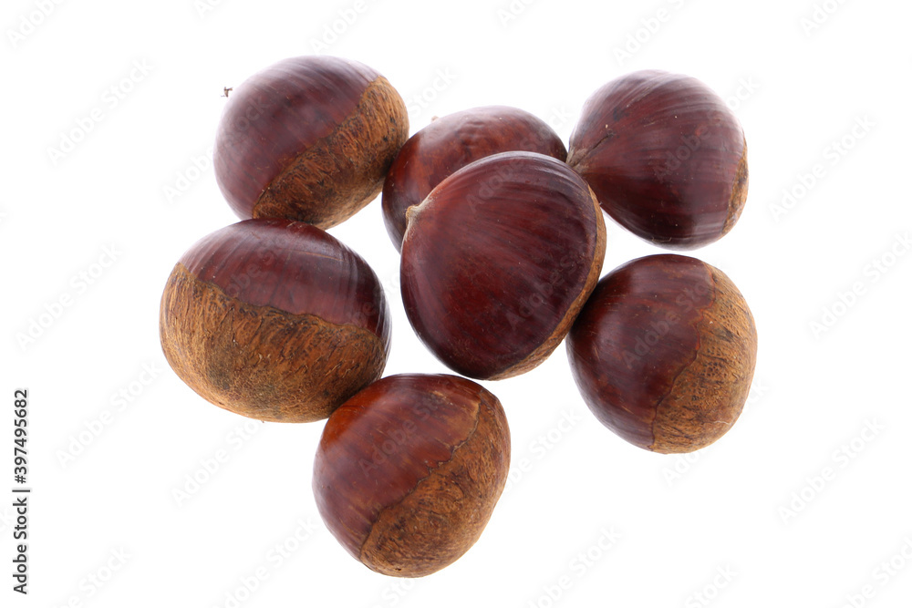 Fresh chestnuts with peeled roasted chestnut isolated on white background. Hippocastanum isolated. Isolated chestnut set Fresh chestnuts with peeled roasted chestnut isolated on white background. Hippocastanum isolated. Isolated chestnut set