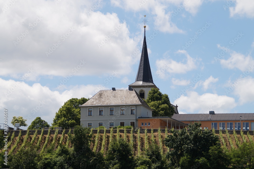 vineyard and village in Franconia in Germany on a Sunny summer day
