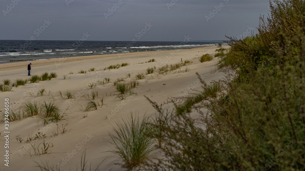 Dunes on the beach of the Baltic Sea