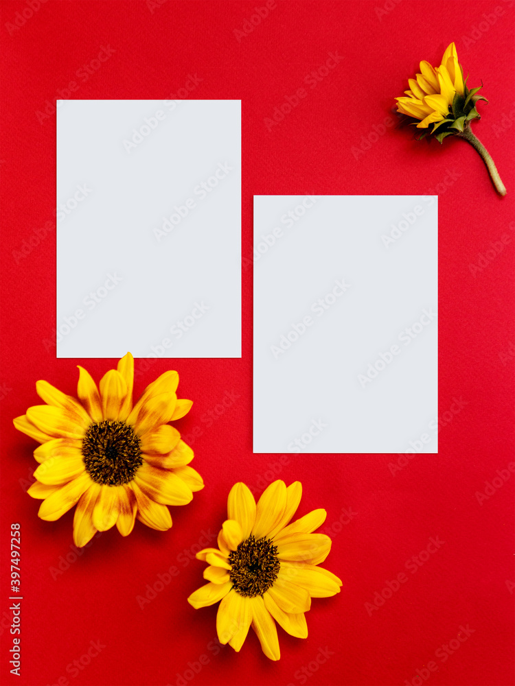Mockup blank white postcards on a bright red background. Yellow sunflowers on a red trending color backdrop. Creative minimalism concept. Mockup blank white postcards on a bright red background. Yellow sunflowers on a red trending color backdrop. Creative minimalism concept.