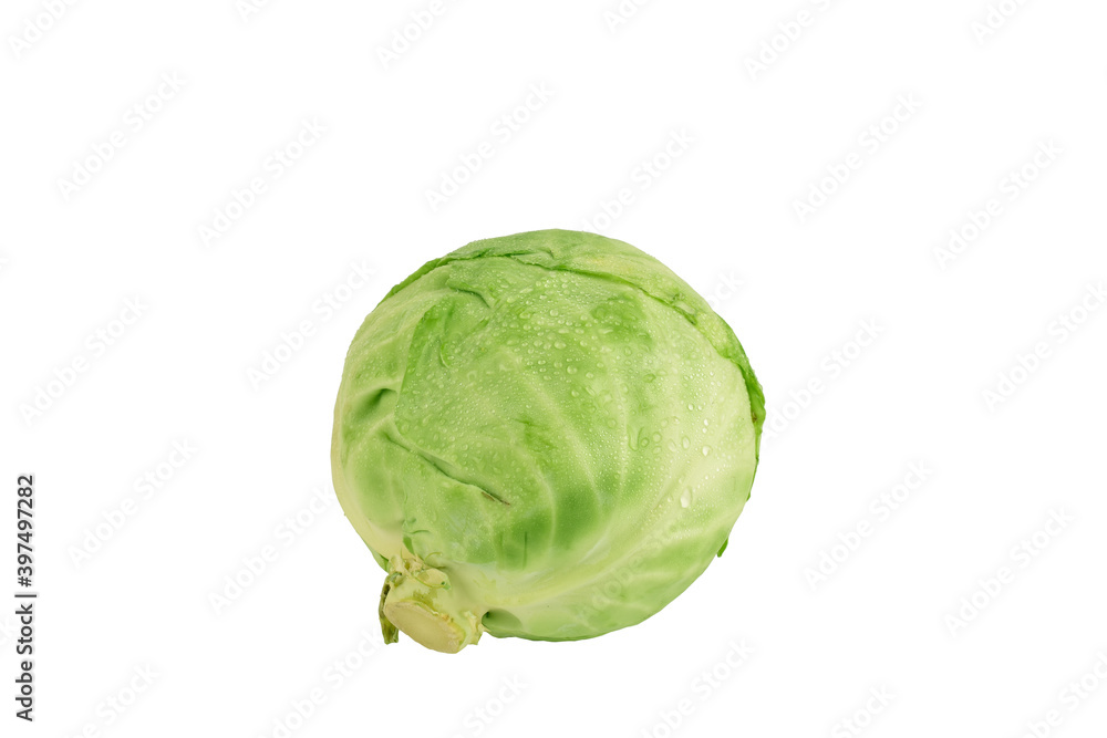 Fototapeta premium Cabbage isolated on white background with clipping path