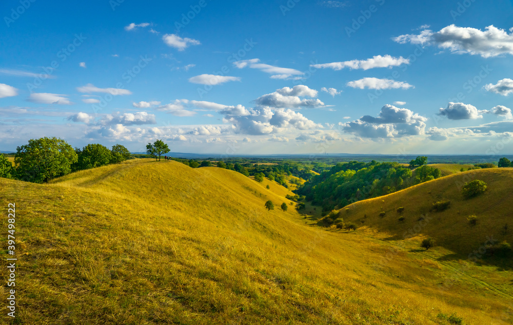 Grassy Hills