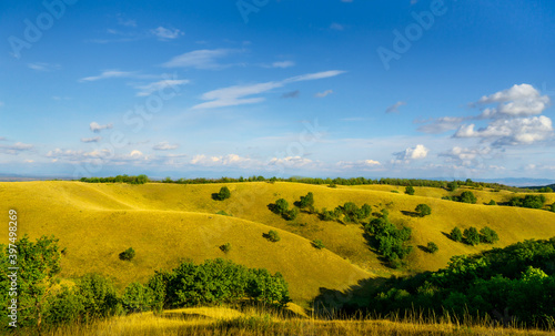 Grassy Hills